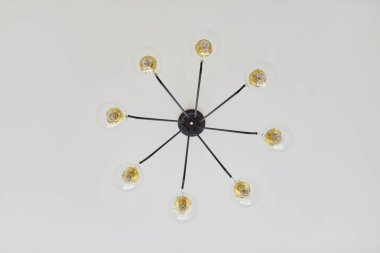 8 LED ampuller için modern tavan avizesi, şeffaf cam yuvarlak gölgeler