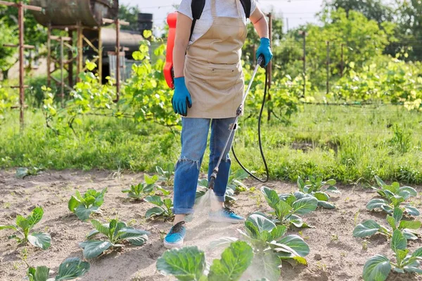 Woman gardener farmer with backpack pressure sprayer sprays vineyard in spring season — Stock Photo, Image