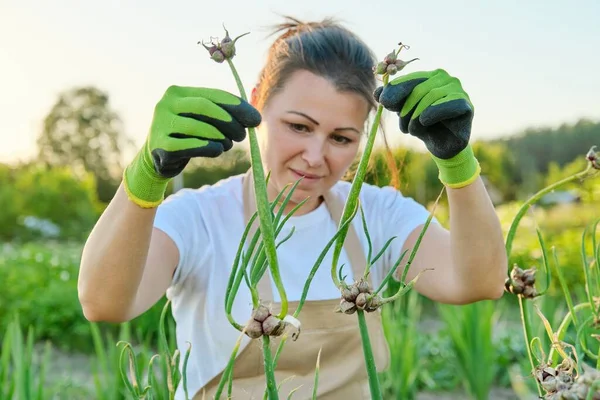 Wanita di kebun sayuran dengan tanaman bawang hijau — Stok Foto