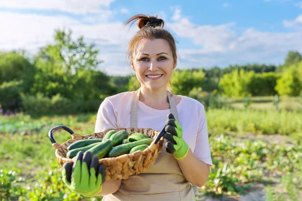 Wanita tersenyum dengan keranjang mentimun segar di peternakan — Stok Foto