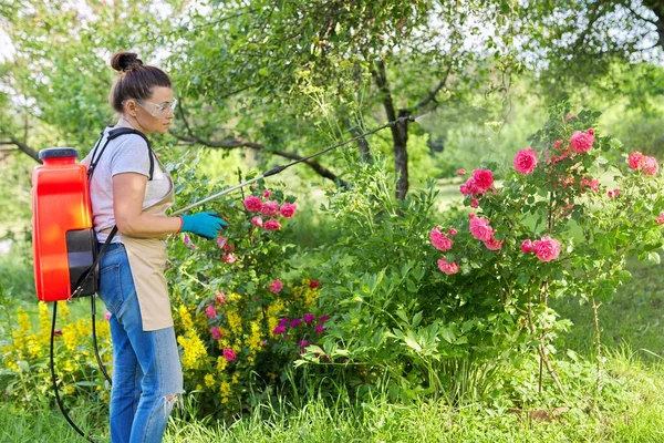 Vrouw in de achtertuin tuin met druksproeier rugzak beschermen plant roos — Stockfoto