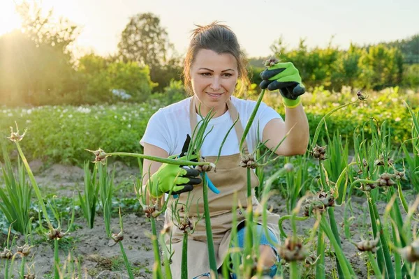 Wanita di kebun sayuran dengan tanaman bawang hijau — Stok Foto