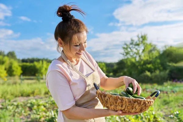 Mujer sonriente con cesta de pepinos recién arrancados en la granja — Foto de Stock