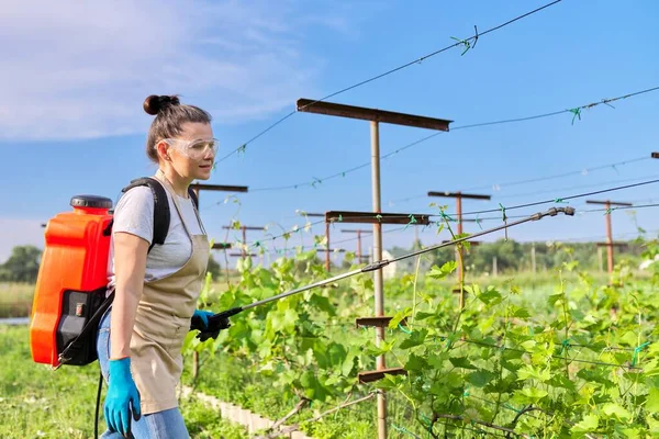 Petani tukang kebun wanita dengan semprotan semprotan anggur bertekanan ransel di kebun anggur pada musim semi — Stok Foto