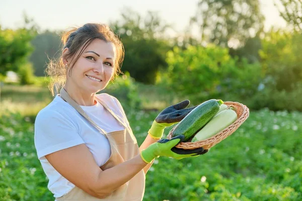 Perempuan petani dengan sarung tangan apron dengan keranjang zucchini segar — Stok Foto