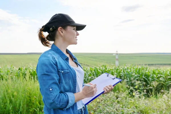 Agricultural worker woman with working folder in green corn field