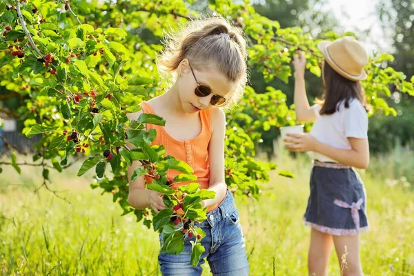 Niños niñas comiendo deliciosas moras saludables del árbol — Foto de Stock