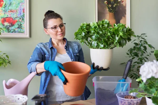 Woman transplanting Kalanchoe plant in larger pot using shovel and soil — Stock Photo, Image