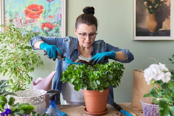 Vrouw die Kalanchoë plant transplanteert in grotere pot met schep en bodem — Stockfoto