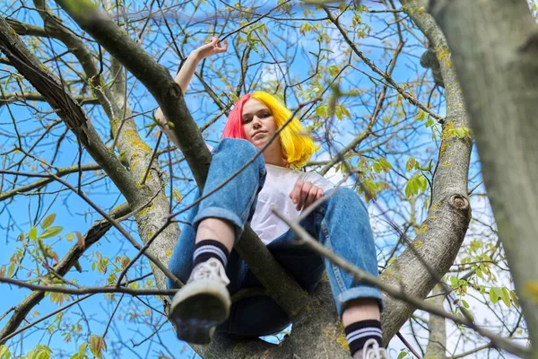Tinédzser lány, hipszter ül egy fán. Tavasz, természet ég háttér — Stock Fotó