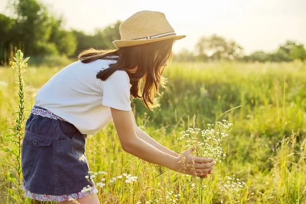 Été nature, vue arrière de l'enfant fille en chapeau de paille déchirant prairie herbes — Photo