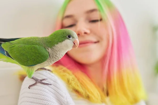 Verde joven cuáquero polluelo en el hombro de una adolescente propietario — Foto de Stock