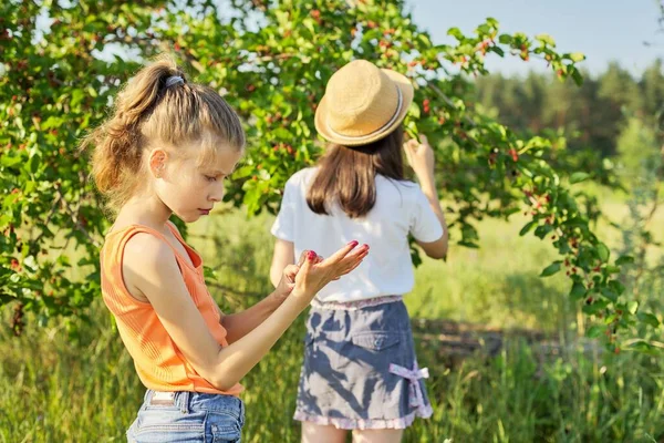 Niños niñas comiendo deliciosas moras saludables del árbol — Foto de Stock