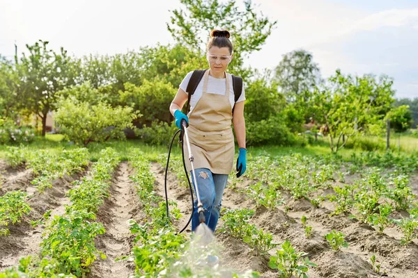 Perempuan tukang kebun penyemprotan muda kentang tanaman di musim semi kebun sayuran — Stok Foto
