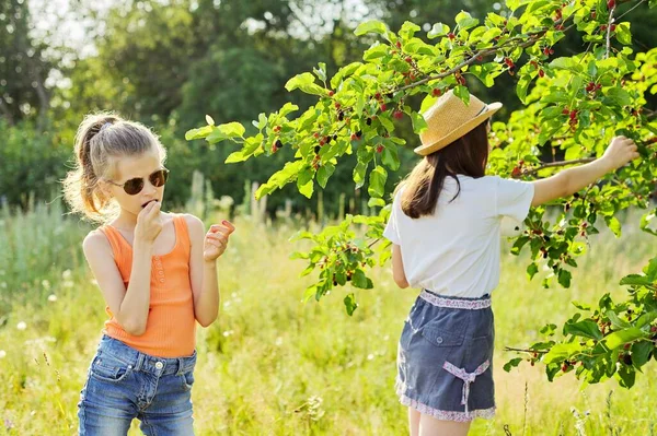 Niños niñas comiendo deliciosas moras saludables del árbol — Foto de Stock