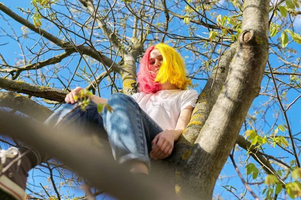 Teenager girl, hipster sedí vysoko na stromě. Jaro, příroda nebe pozadí — Stock fotografie