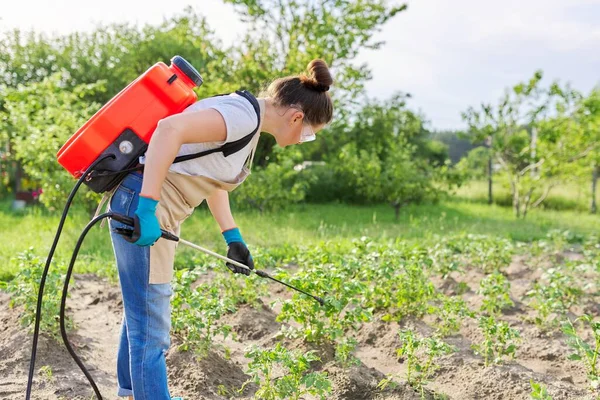 Женщина-садовница распыляет молодые картофельные растения в весеннем огороде — стоковое фото