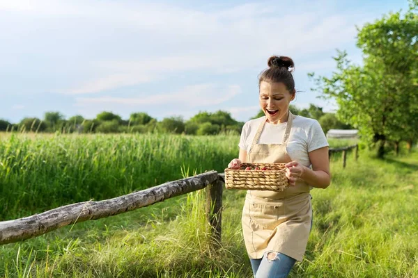 Vrouw in een schort met een mand verse aardbeien — Stockfoto