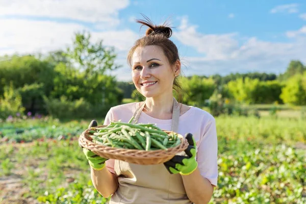 Mujer agricultora de jardinería con cesta de judías verdes frescas — Foto de Stock