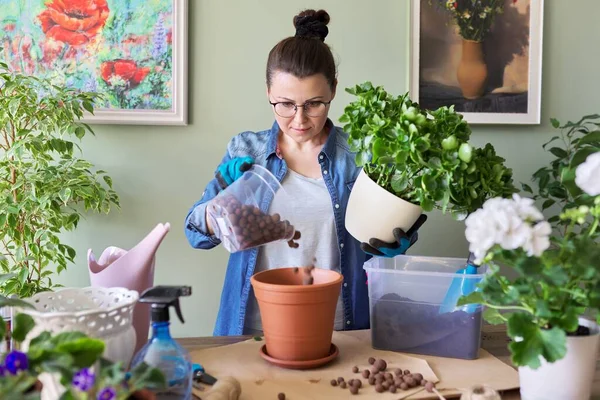 Vrouw die Kalanchoë plant transplanteert in grotere pot met schep en bodem — Stockfoto