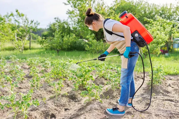 Mujer jardinero rociando plantas jóvenes de papa en huerta de primavera —  Fotos de Stock