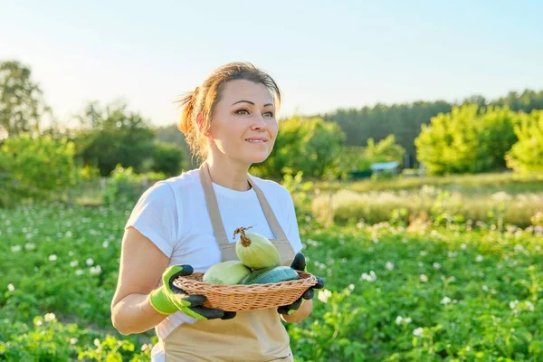 Perempuan petani dengan sarung tangan apron dengan keranjang zucchini segar — Stok Foto