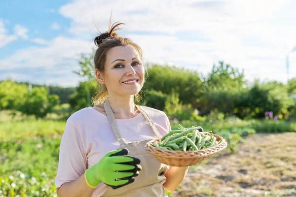 Perempuan tukang kebun dengan keranjang kacang hijau segar — Stok Foto