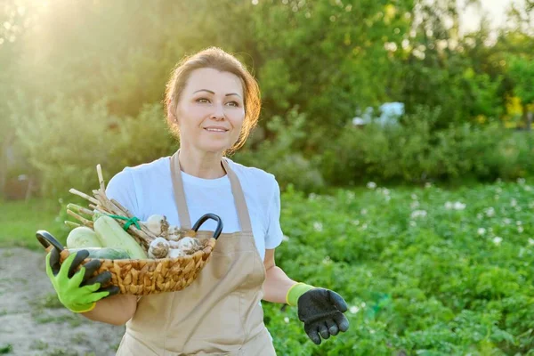 Boer vrouw met mand van verse biologische net geoogste groenten, courgette knoflook — Stockfoto