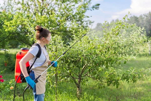 Vrouw tuinier sproeien appelbomen in een lente boomgaard — Stockfoto