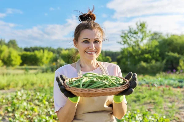 Perempuan tukang kebun dengan keranjang kacang hijau segar — Stok Foto