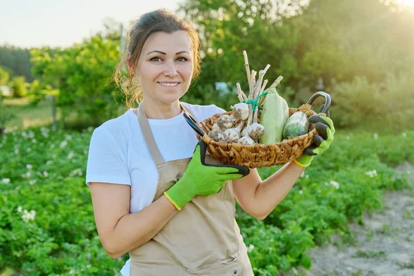 Wanita petani dengan keranjang organik segar baru saja memanen sayuran, bawang putih zucchini — Stok Foto
