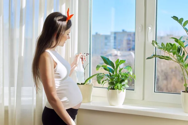 Mujer embarazada joven que cuida las plantas de la casa en el alféizar de la ventana usando aerosol con agua — Foto de Stock