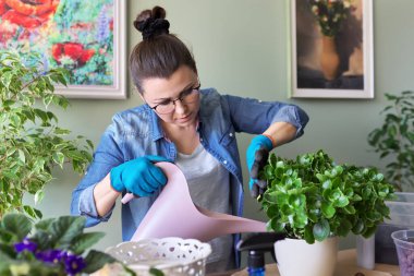 Saksı, hobi ve boş vakti olan bir kadın.