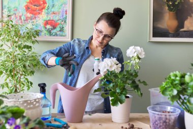 Saksı bitkisi bakımı, sulamak için sıvı mineral gübre kullanan kadın.