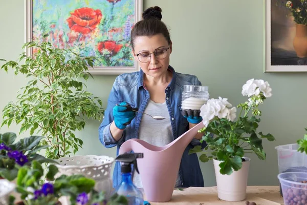 室内植物の砂糖、ケア、栄養のある鍋に植物を肥料化する — ストック写真