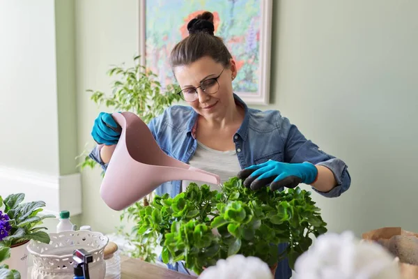 Femme avec plantes à la maison dans des pots, des passe-temps et des loisirs — Photo