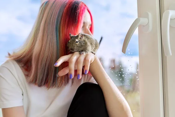 Young owner with pet and degu squirrel. Teenage girl looking out the window — Stock Photo, Image