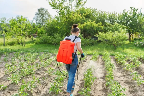 Wanita petani penyemprotan kentang tanaman di kebun sayuran — Stok Foto