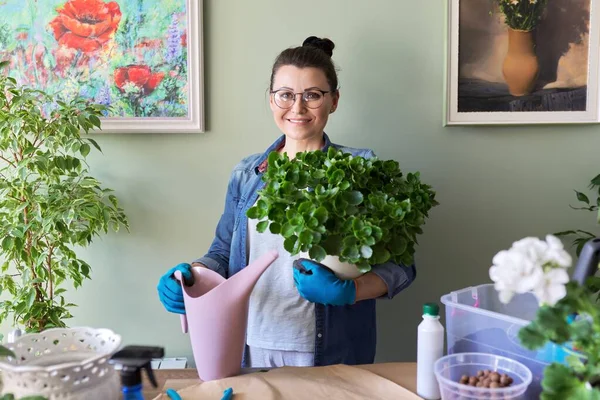 Женщина с домашними растениями в горшках, хобби и досуге — стоковое фото