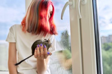 Evcil hayvanı ve degu sincabı olan genç bir sahip. Pencereden dışarı bakan genç kız.