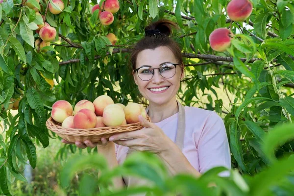 Retrato de mujer sonriente con cesta de melocotones frescos, árbol con fondo de melocotones maduros — Foto de Stock