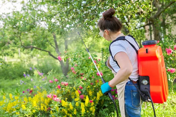 Vrouw met rugzak tuin spuitpistool onder druk hantering struiken met bloeiende rozen — Stockfoto