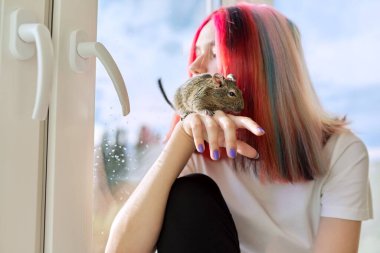 Evcil hayvanı ve degu sincabı olan genç bir sahip. Pencereden dışarı bakan genç kız.