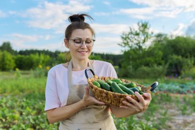 Yeni toplanmış salatalıklı kadın çiftçi portresi.