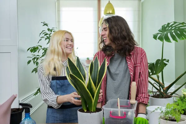 Teenagers guy and girl planting houseplant in pot — Stock Photo, Image