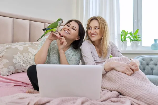 Dos mujeres de mediana edad conloro mirando la pantalla del ordenador portátil sentado en la cama en casa — Foto de Stock