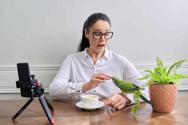 Vrouw spelen met haar huisdier papegaai thuis, vogel bijten vrouwen vinger — Stockfoto