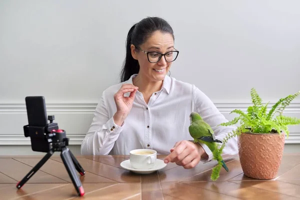 Женщина записывает видео поток, орнитолог говорит о уходе за попугаем образ жизни и питание — стоковое фото