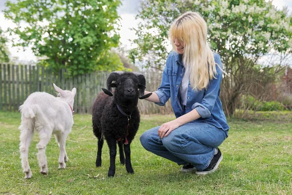 Estilo rústico, pequeña granja de animales, joven adolescente juega tocando carnero negro y cabra joven blanca — Foto de Stock