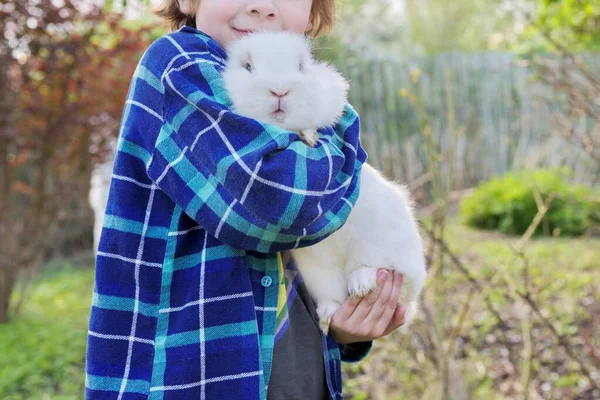 Menino com coelho branco em suas mãos, criança com coelho decorativo — Fotografia de Stock